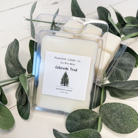 Encounter FREEDOM Soy Wax Candle (unscented) – The Mt. Pisgah Church